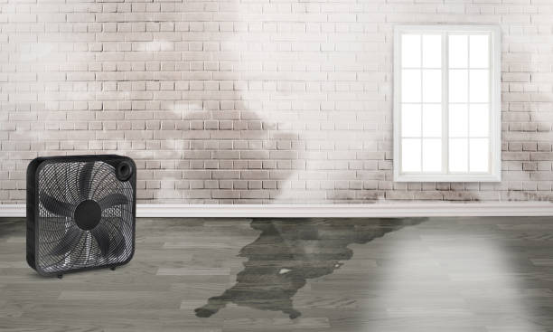 Best Local water damage restoration  in Graymoor Devondale, KY