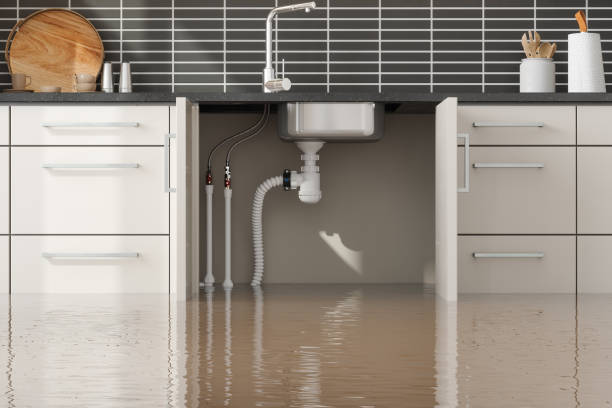 Best Flood damage cleanup  in Graymoor Devondale, KY